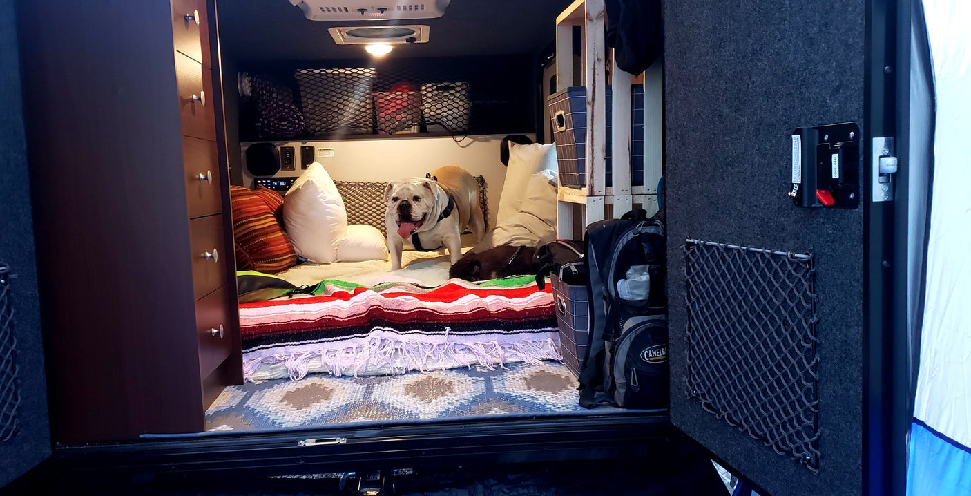 Cozy RV rental camper interior: a happy bulldog and a small dog on the bed, with ample storage.