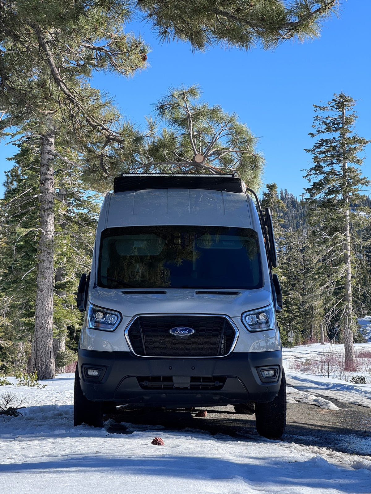 RV rental ready Ford Transit camper van parked in a sunny, snowy forest. Tall pine trees frame the scene under a blue sky. — photo 9