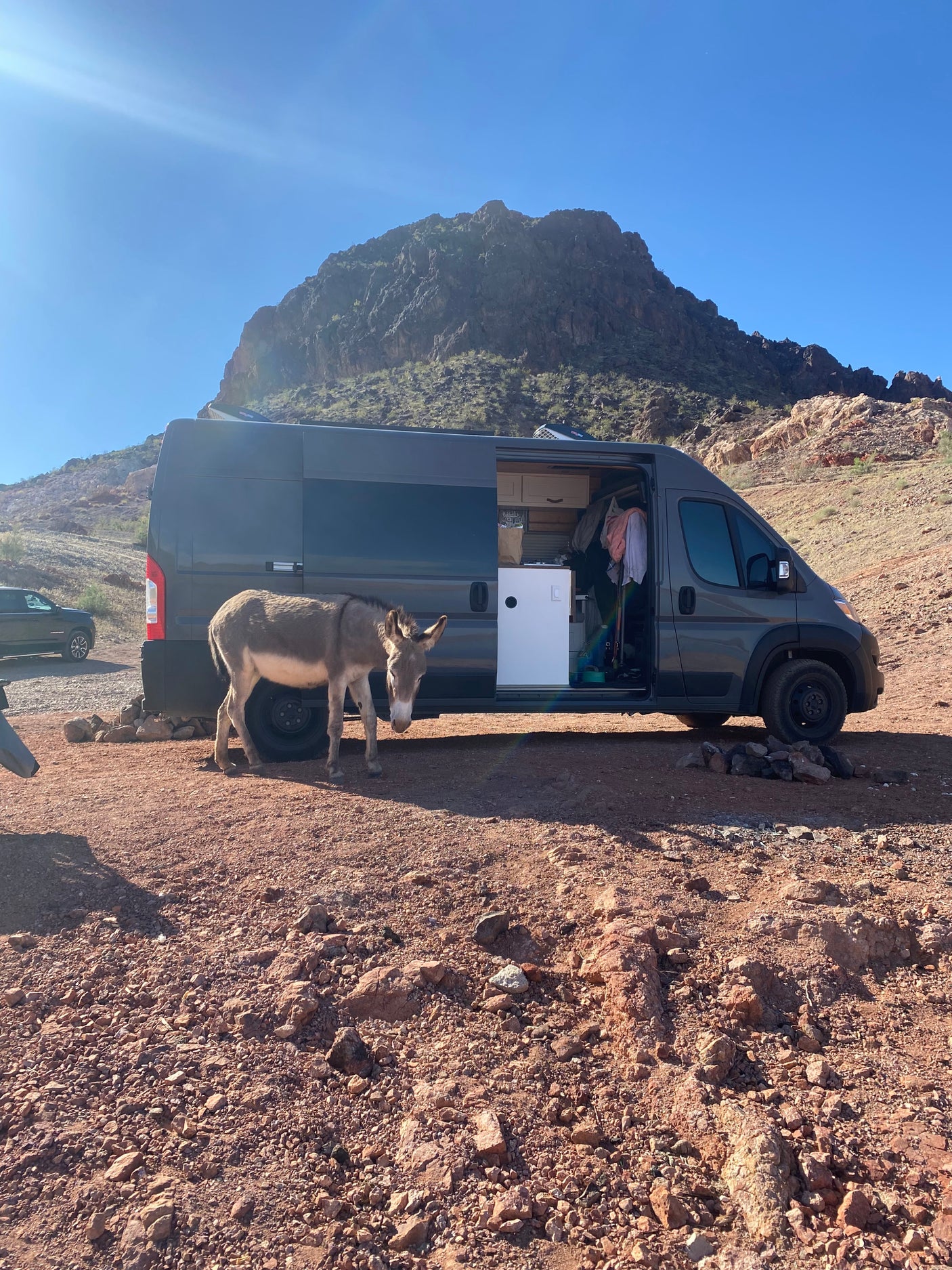 RV rental camper van in a sunny desert, a wild donkey stands nearby. Mountains in background.