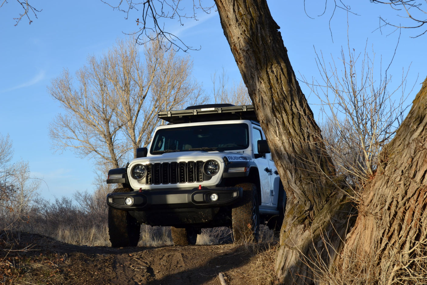 Adventure-ready white Jeep Rubicon with a rooftop tent, perfect for an RV rental escape, parked on a dirt path.