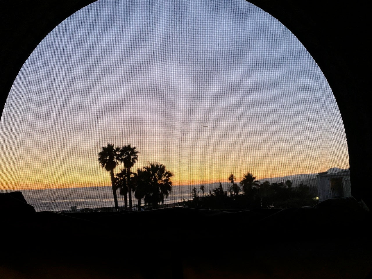 Golden sunset over ocean, silhouetted palm trees, viewed from an RV rental through a screen. A beautiful travel sight.