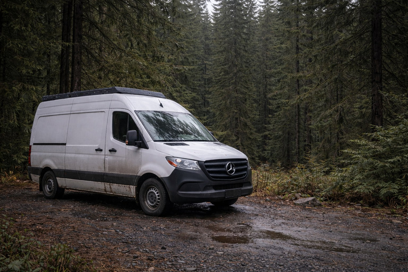 White camper van (RV rental) parked on a wet forest road, nestled among tall evergreen trees. Ideal for exploration.