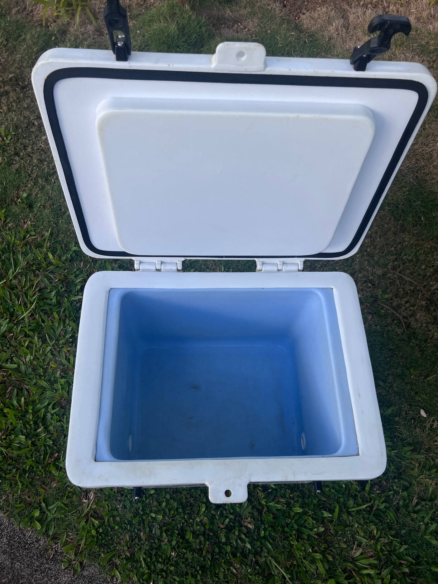 Durable white cooler, open to its light blue interior, perfect for any rv rental or camping adventure.
