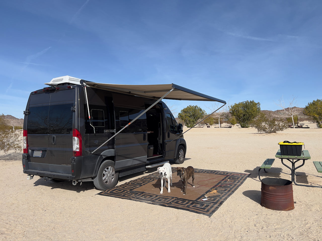 RV rental van with awning, two dogs on a rug, picnic table, and fire pit at a desert campsite. Ideal for outdoor adventures!
