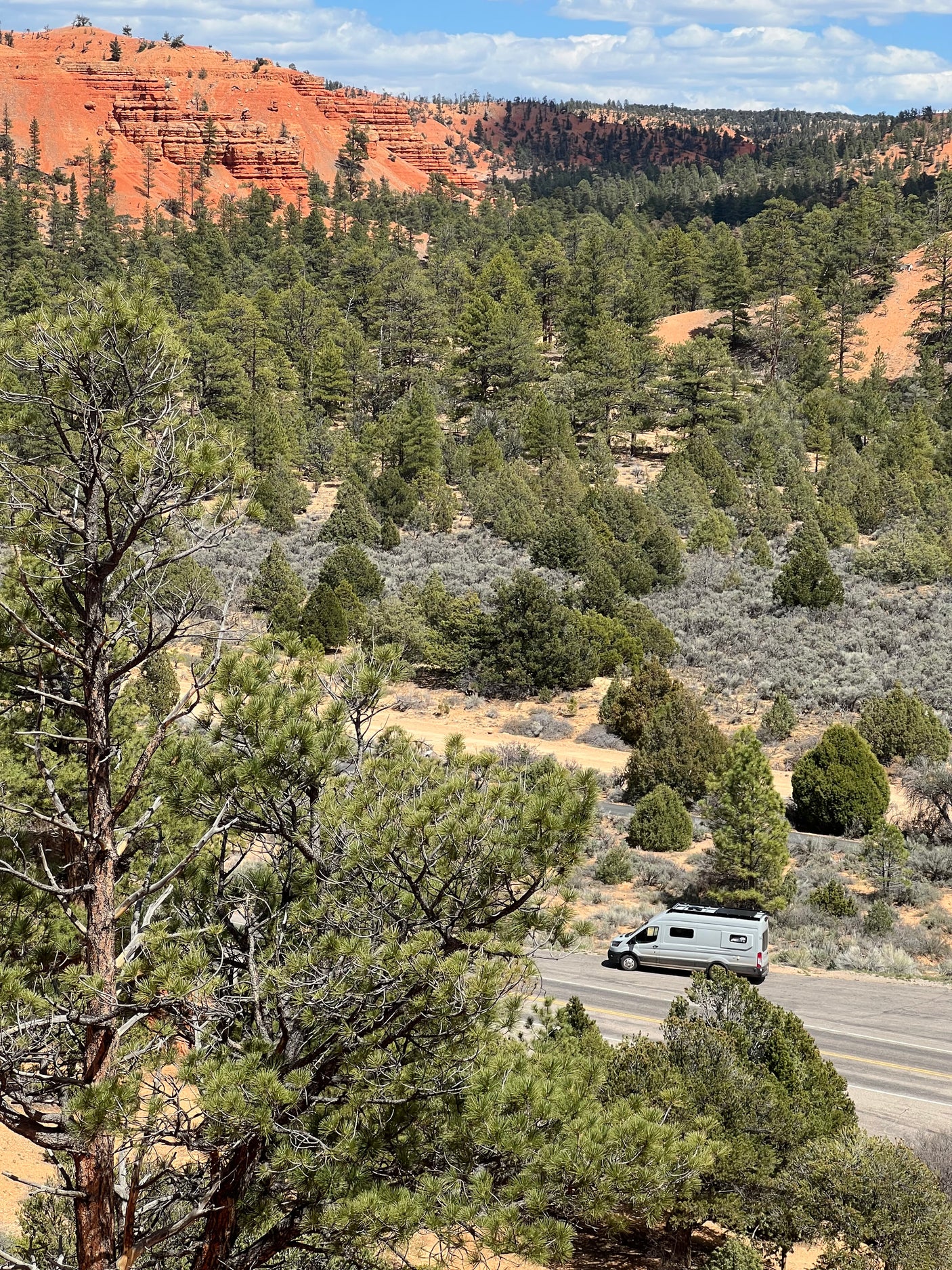 Experience nature's beauty with an RV rental! A light grey camper van drives through a stunning red rock and pine forest landscape.