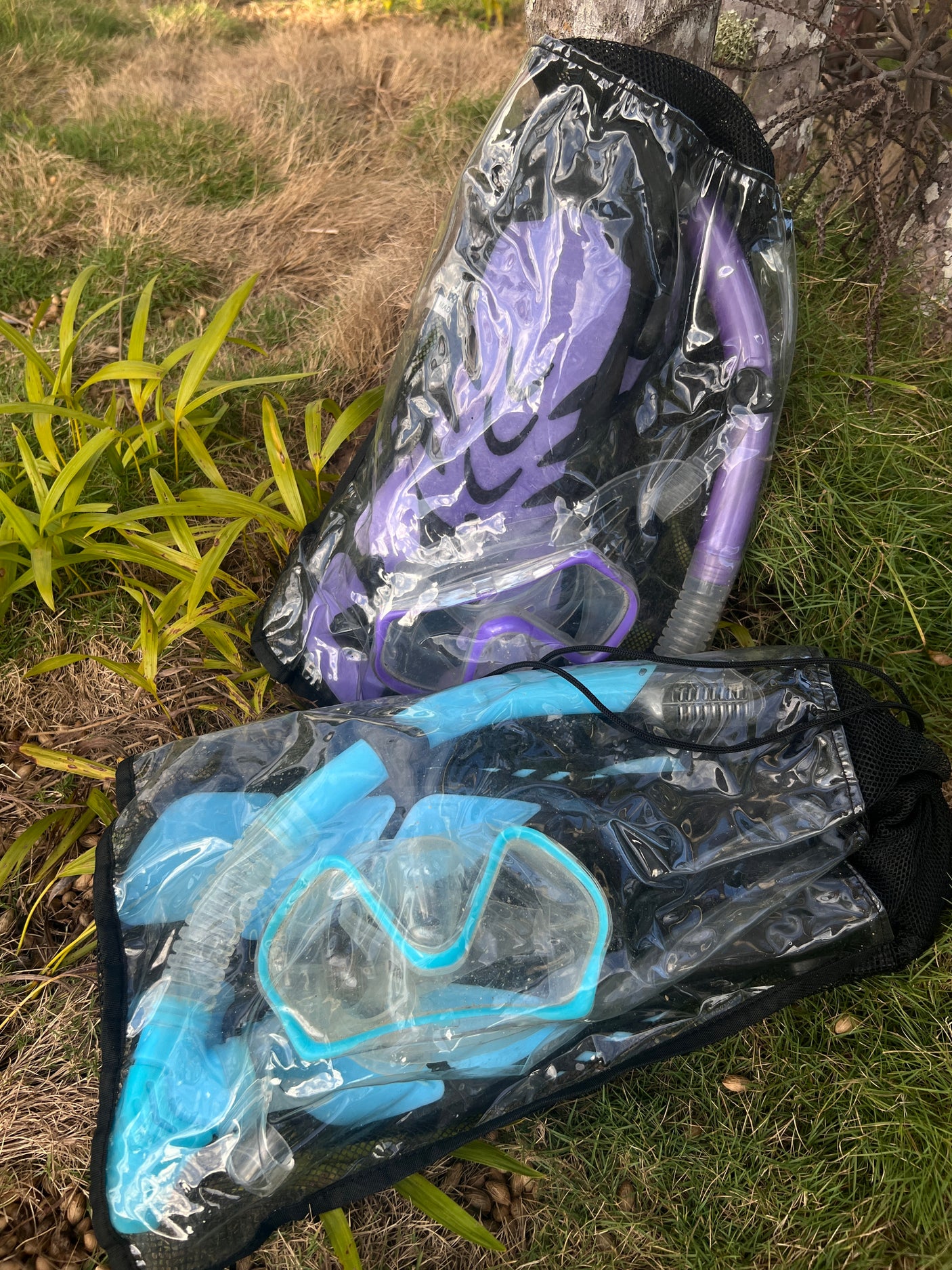 Purple and blue snorkeling gear, including fins, masks, and snorkels, packed in clear bags on the grass for your RV rental trip.