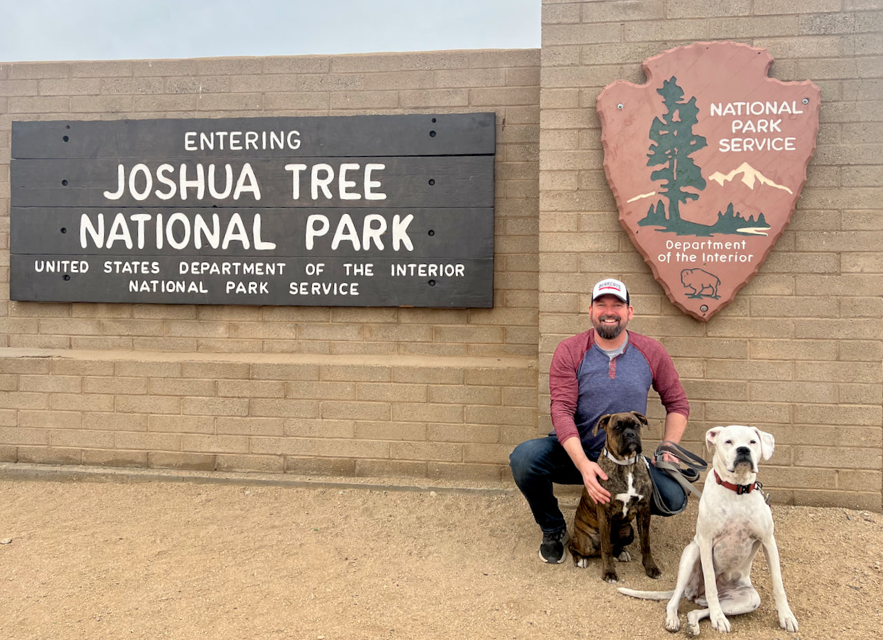 Man and two dogs by Joshua Tree National Park entrance sign. An RV rental trip is ideal for this national park.