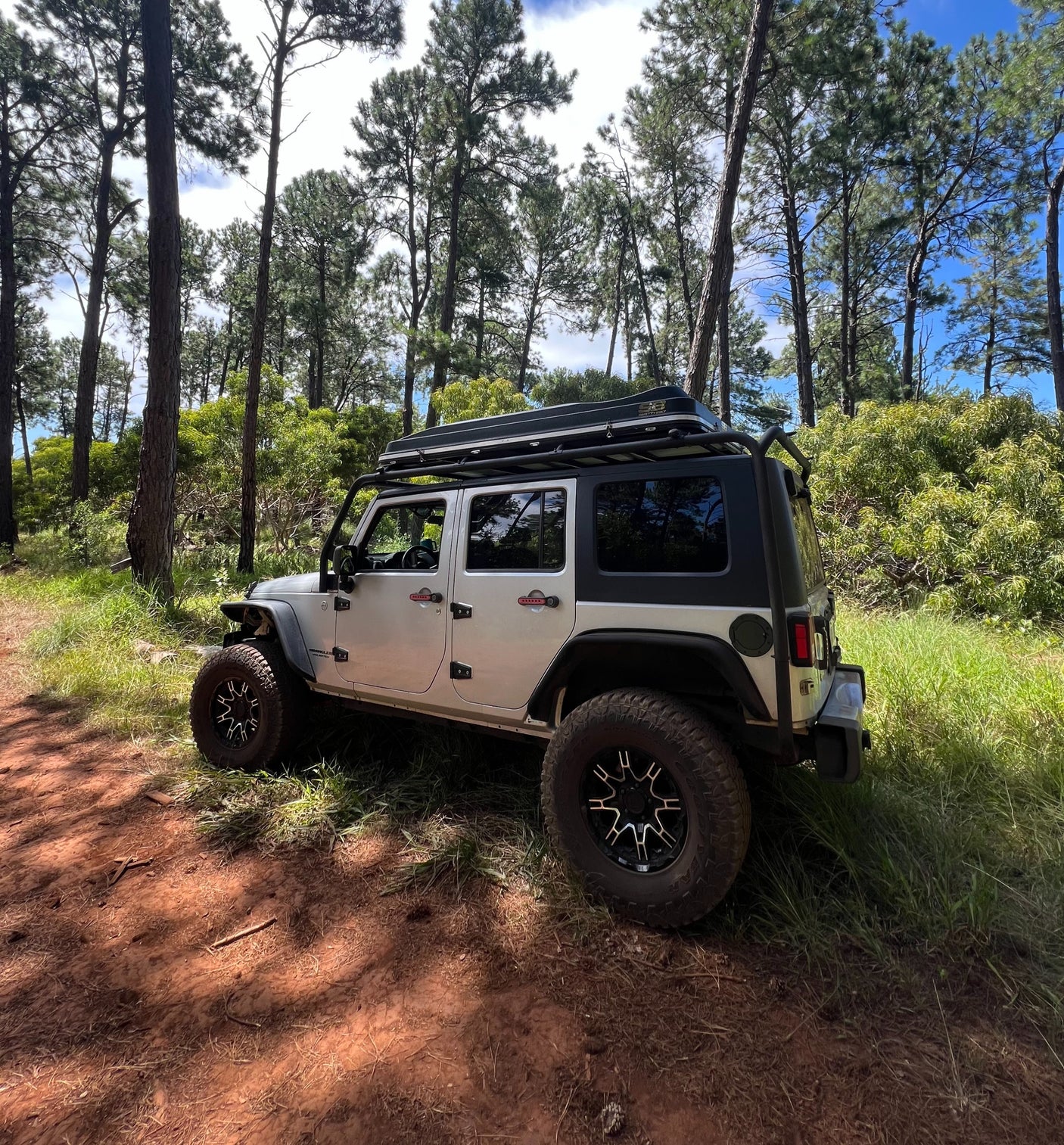 White Jeep Wrangler with rooftop tent on a dirt path in a pine forest, ideal for rv rental adventures and off-road trips.