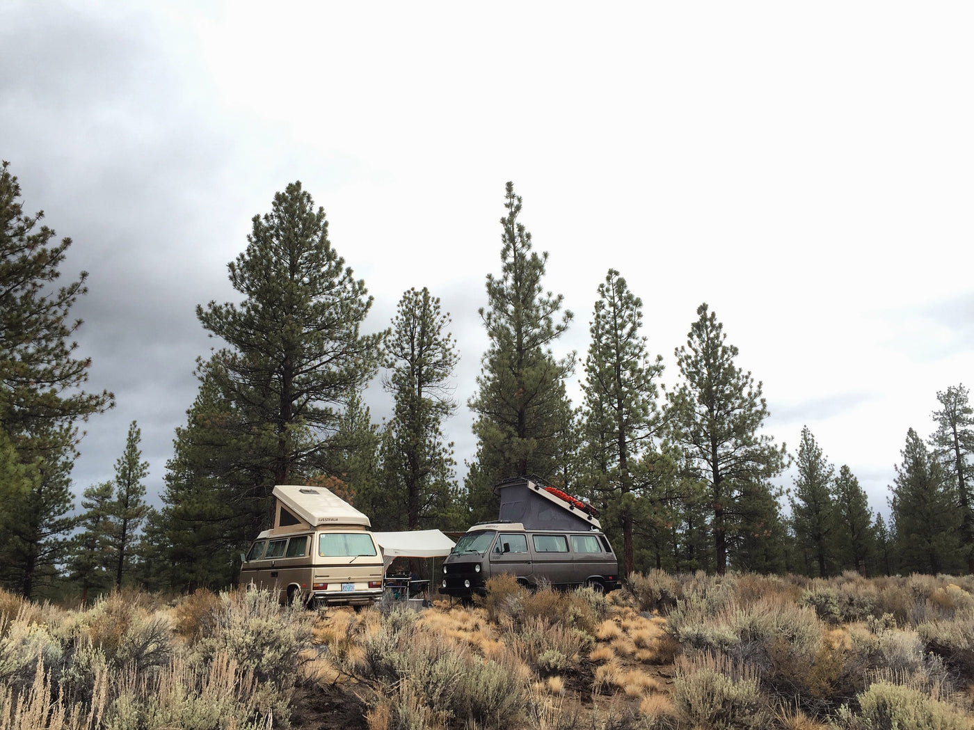 treed campsite under a cloudy sky.|A child peacefully sleeps in a cozy RV rental bed — photo 3