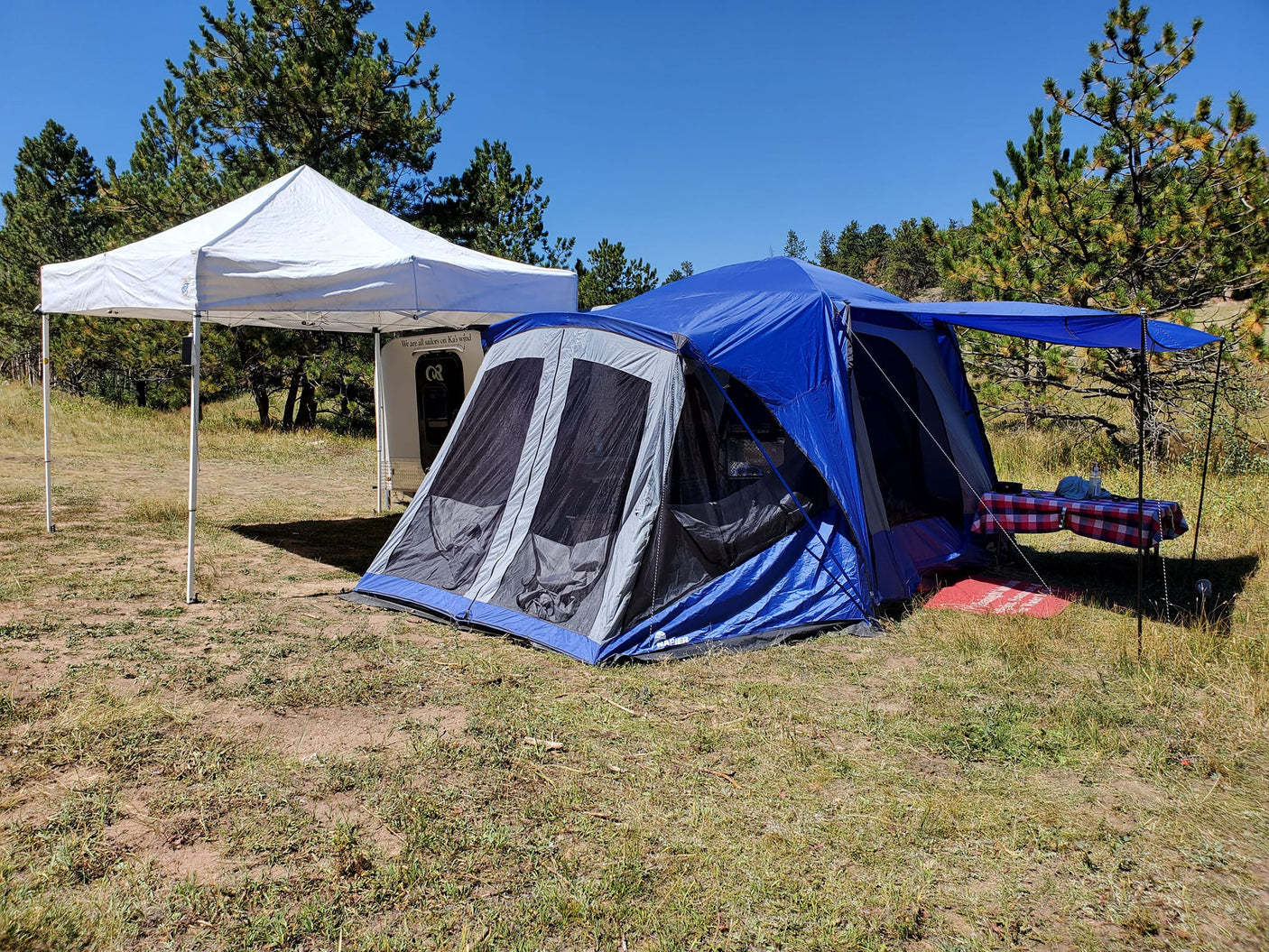Camping site with a blue tent, white canopy, and teardrop RV rental, nestled among pine trees under a clear sky.
