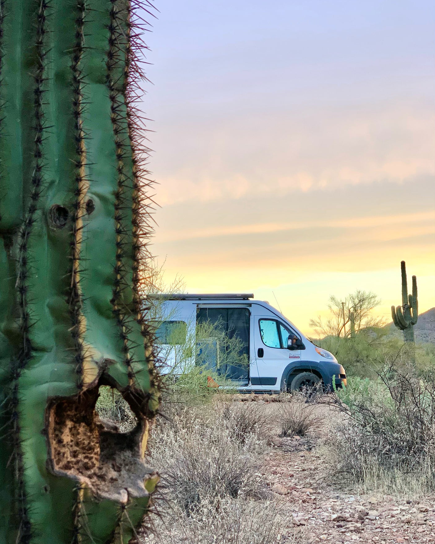 Golden hour desert camp: An RV rental van nestled among saguaros, with a large cactus in the foreground.