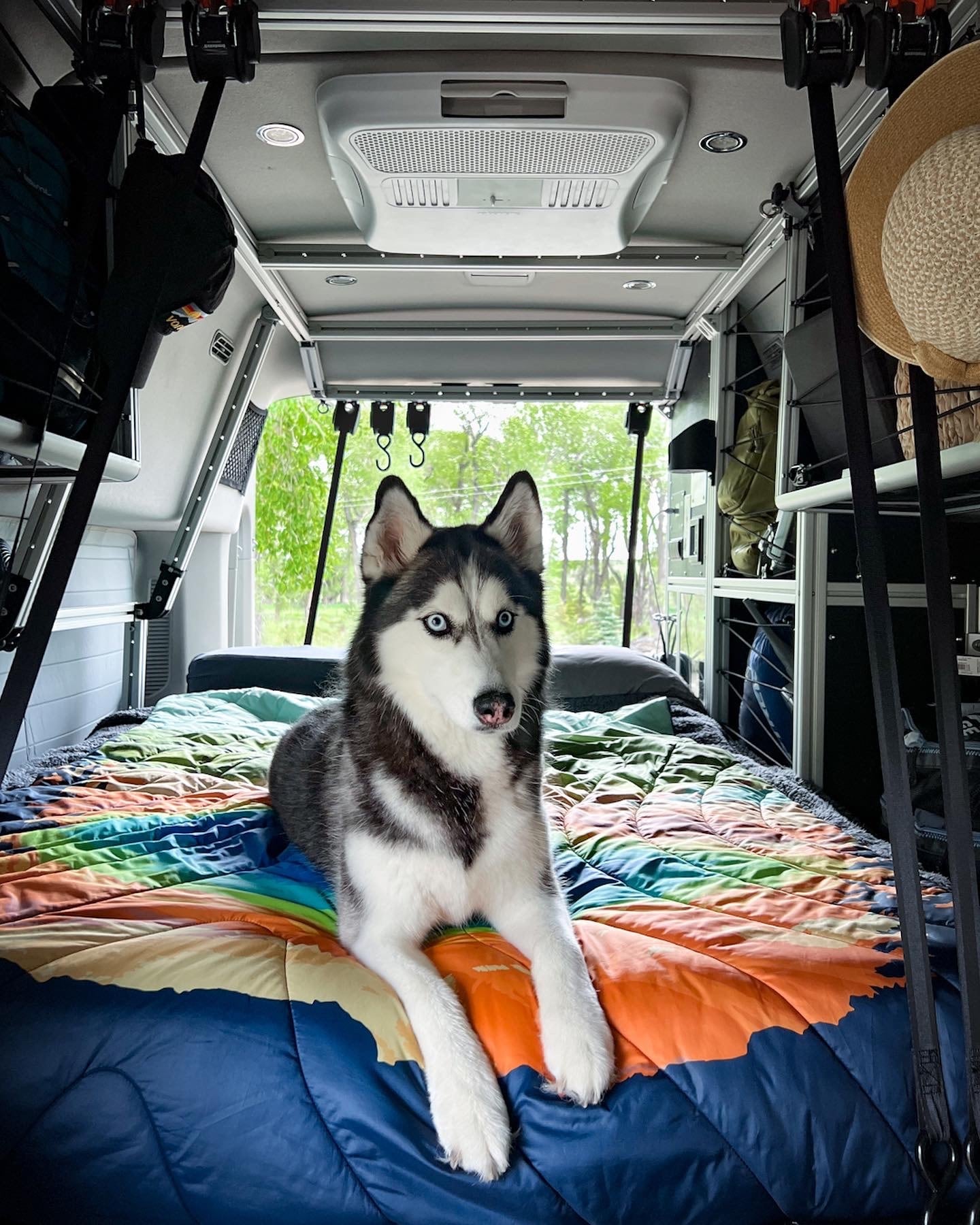 compact mobile living space with smart storage and modular shelving.|A beautiful husky with blue eyes rests on a colorful bed inside a spacious rv rental. Ideal for pet-friendly road trip adventures.|Organized camper van interior with cozy bed