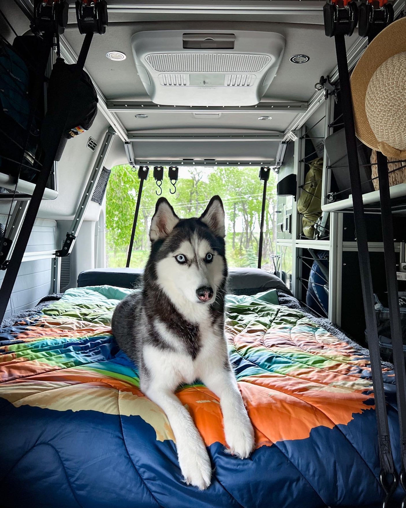 compact mobile living space with smart storage and modular shelving.|A beautiful husky with blue eyes rests on a colorful bed inside a spacious rv rental. Ideal for pet-friendly road trip adventures.|Organized camper van interior with cozy bed