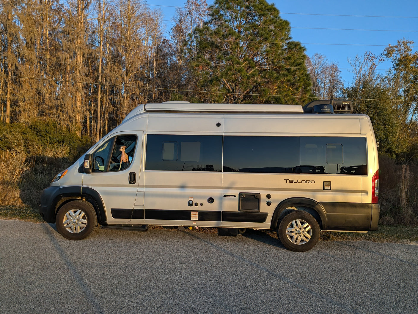 A silver Tellaro rv rental camper van, with a dog visible in the window, is parked on a sunlit road beside trees.