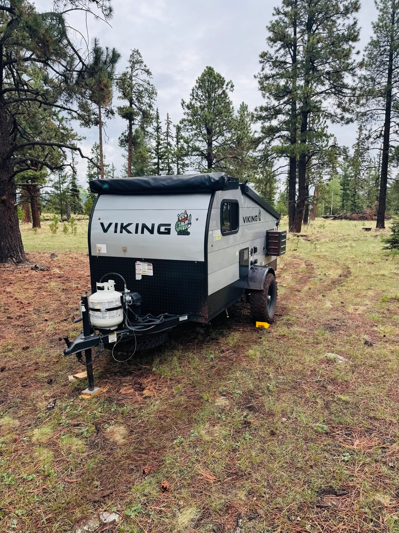 perfect for an rv rental adventure. Parked in a peaceful forest setting for camping.|Viking RV rental and pickup truck parked in a serene forest — photo 3