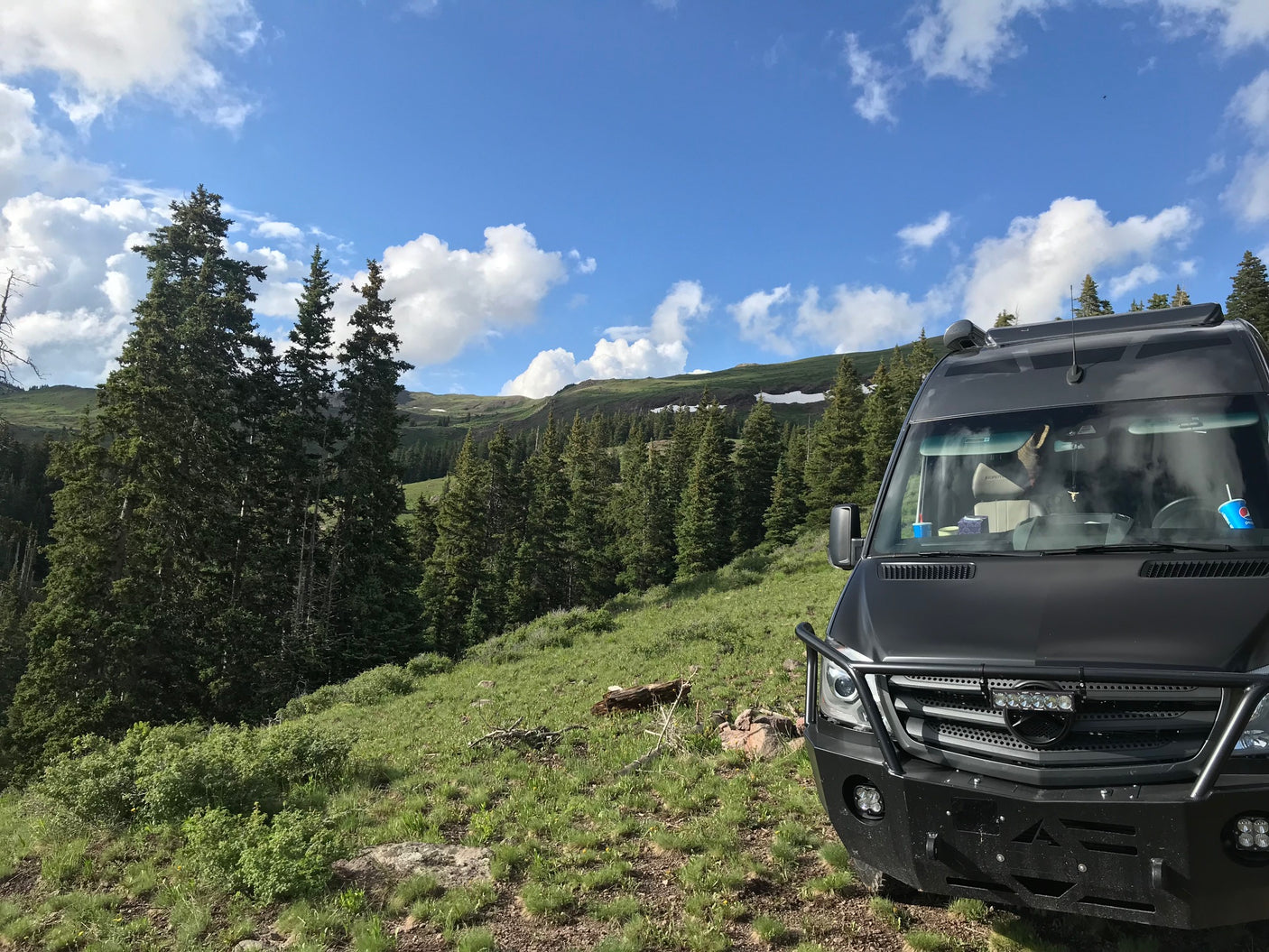 Black RV rental parked on a grassy mountain slope with pine trees under a blue sky, perfect for scenic outdoor adventures.