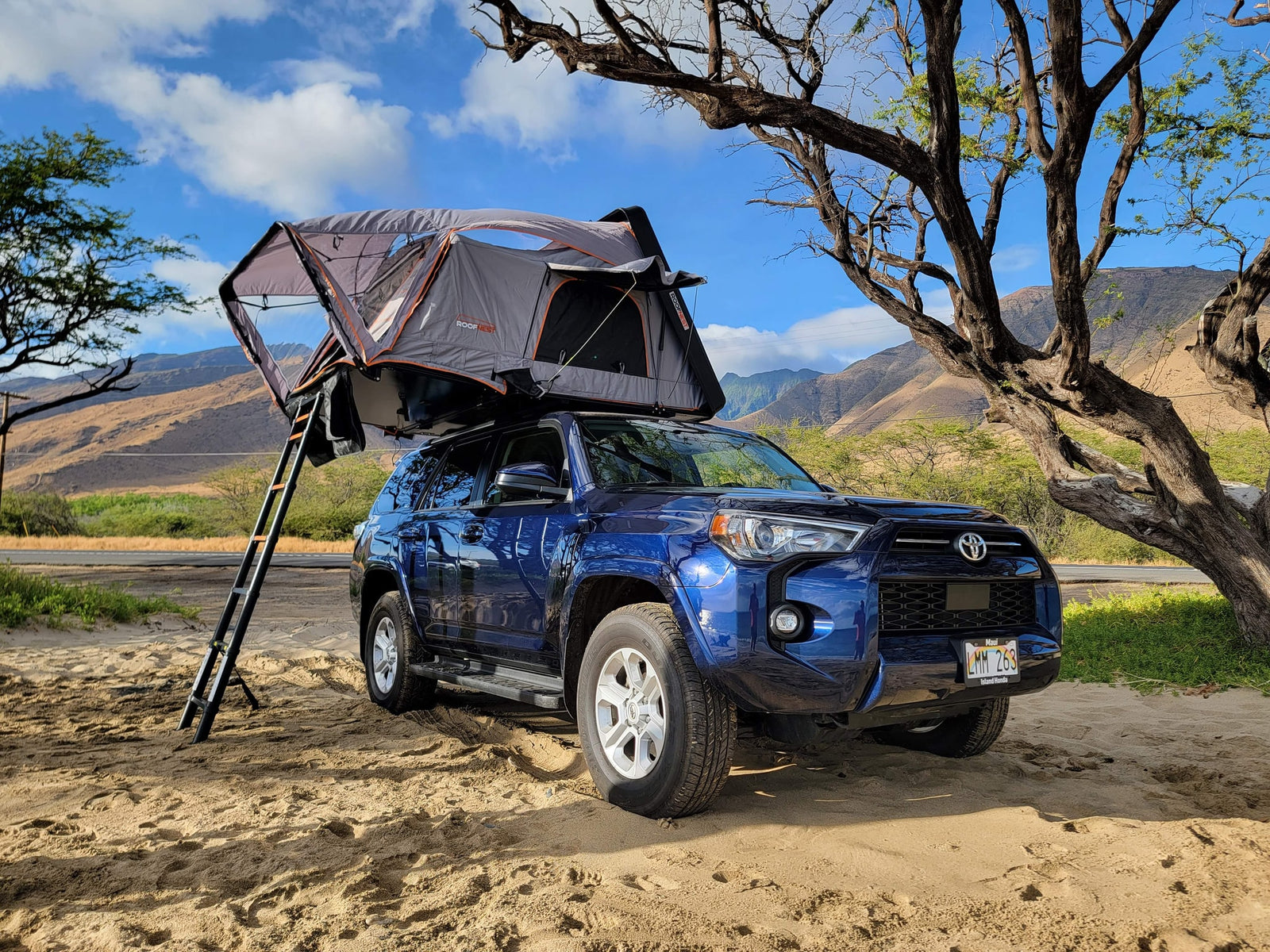 This blue Toyota 4Runner SUV