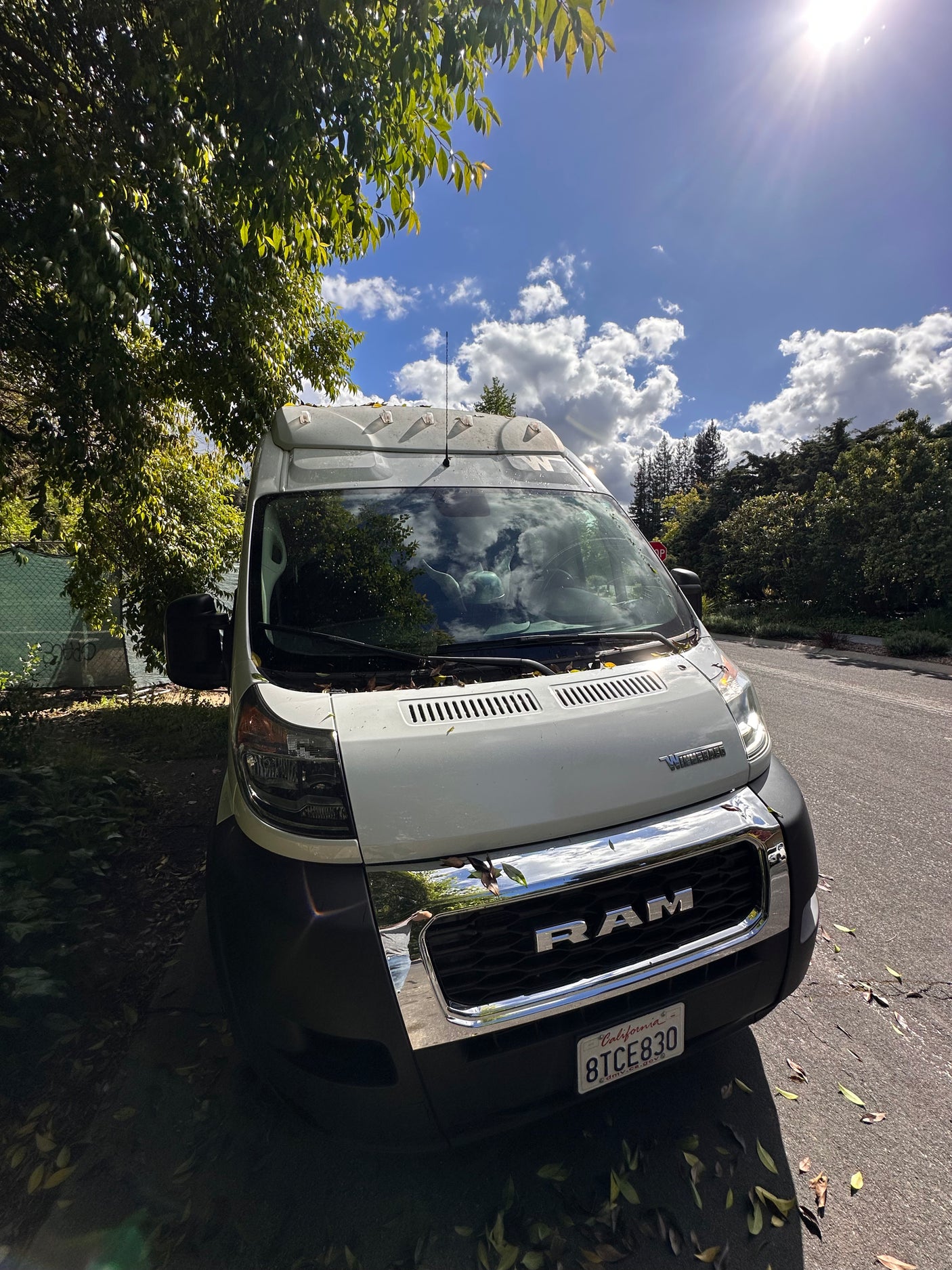 Bright Winnebago Ram ProMaster rv rental van parked under a tree on a sunny, cloudy day. Reflections in chrome grill, CA plate.