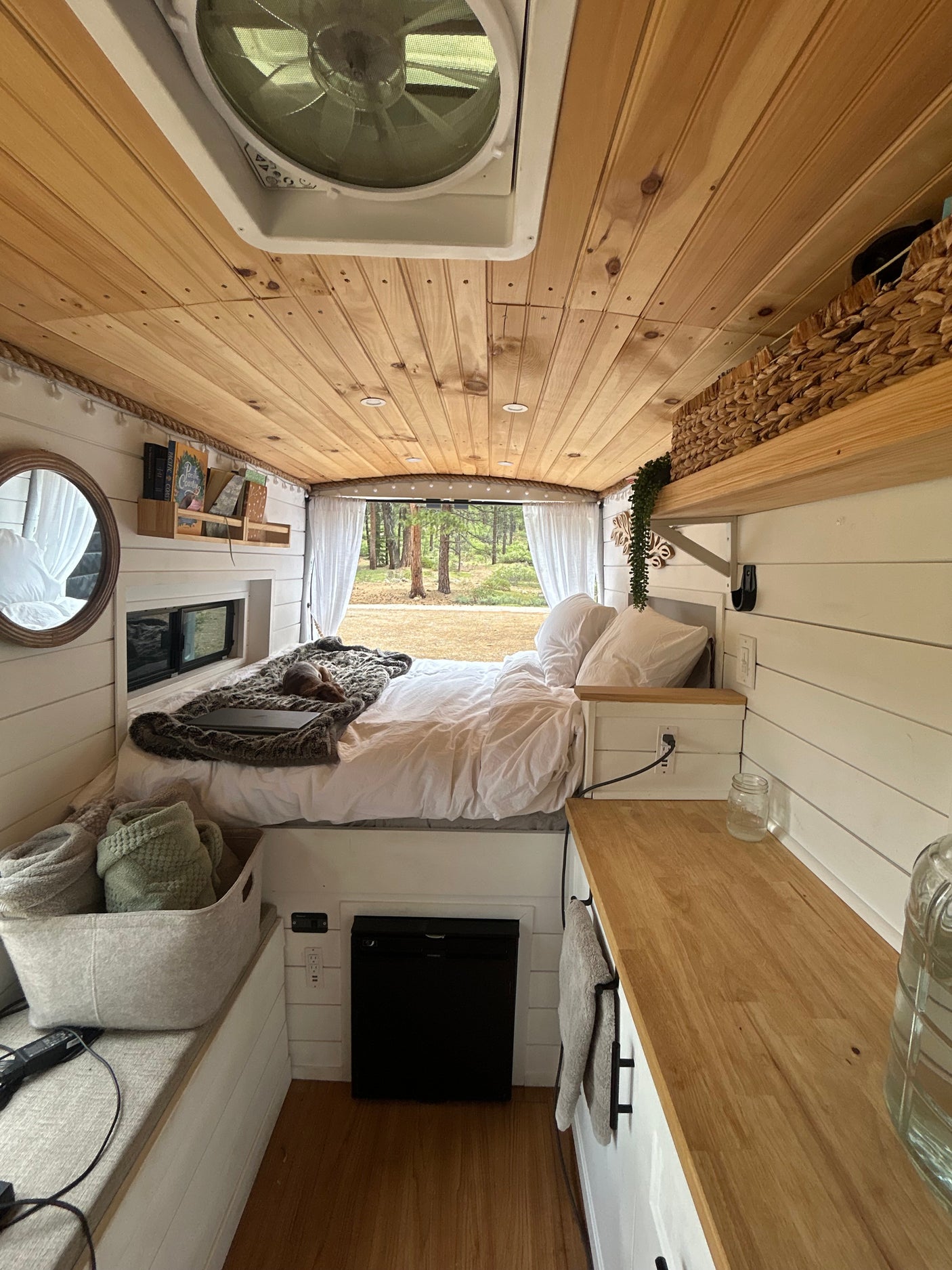 Cozy RV rental interior: wooden ceiling, comfy bed, compact kitchen, and serene forest views from the back.