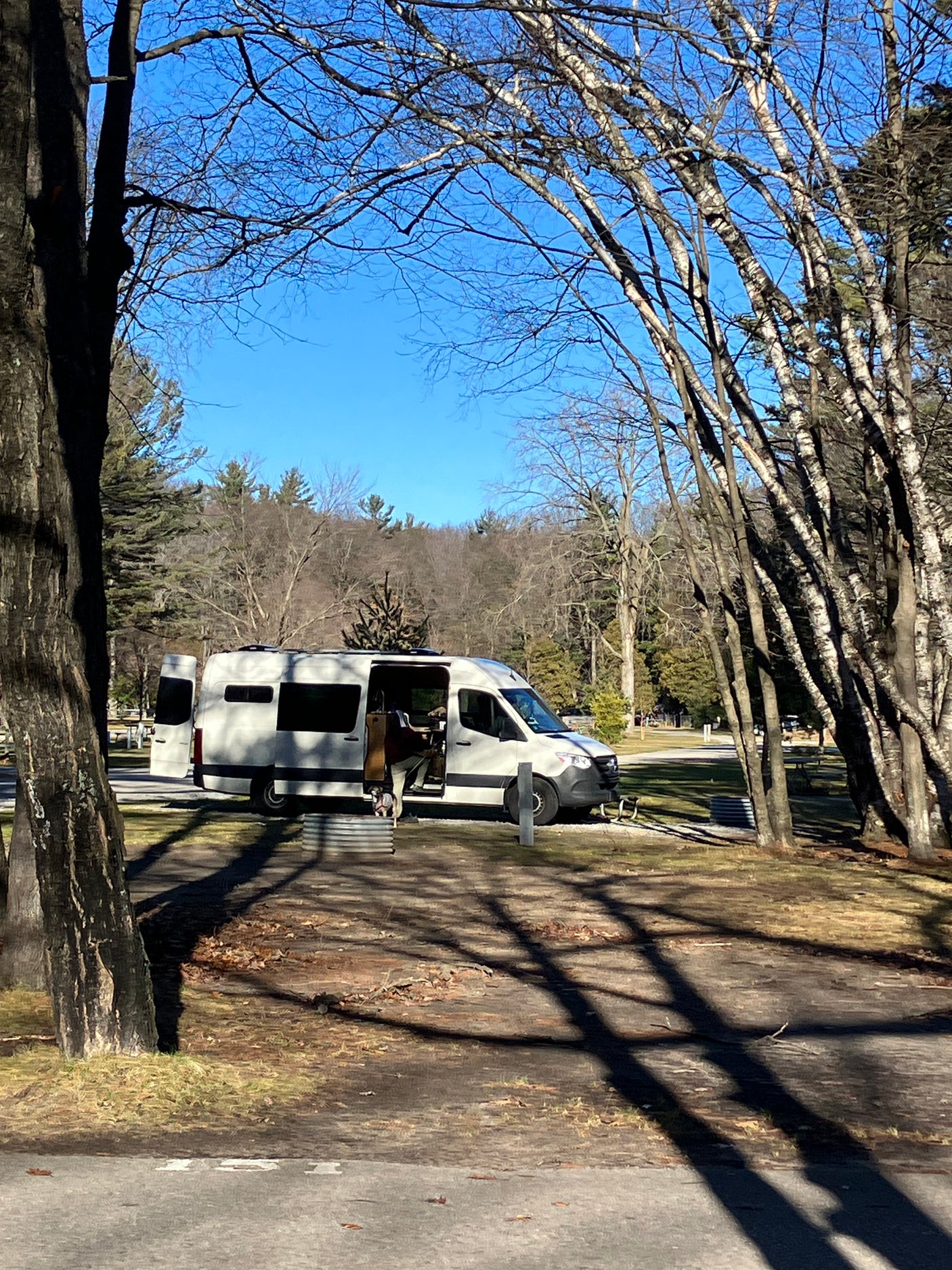 White RV rental van at a sunny bare-tree campsite. A person and dog exit, enjoying nature and travel.