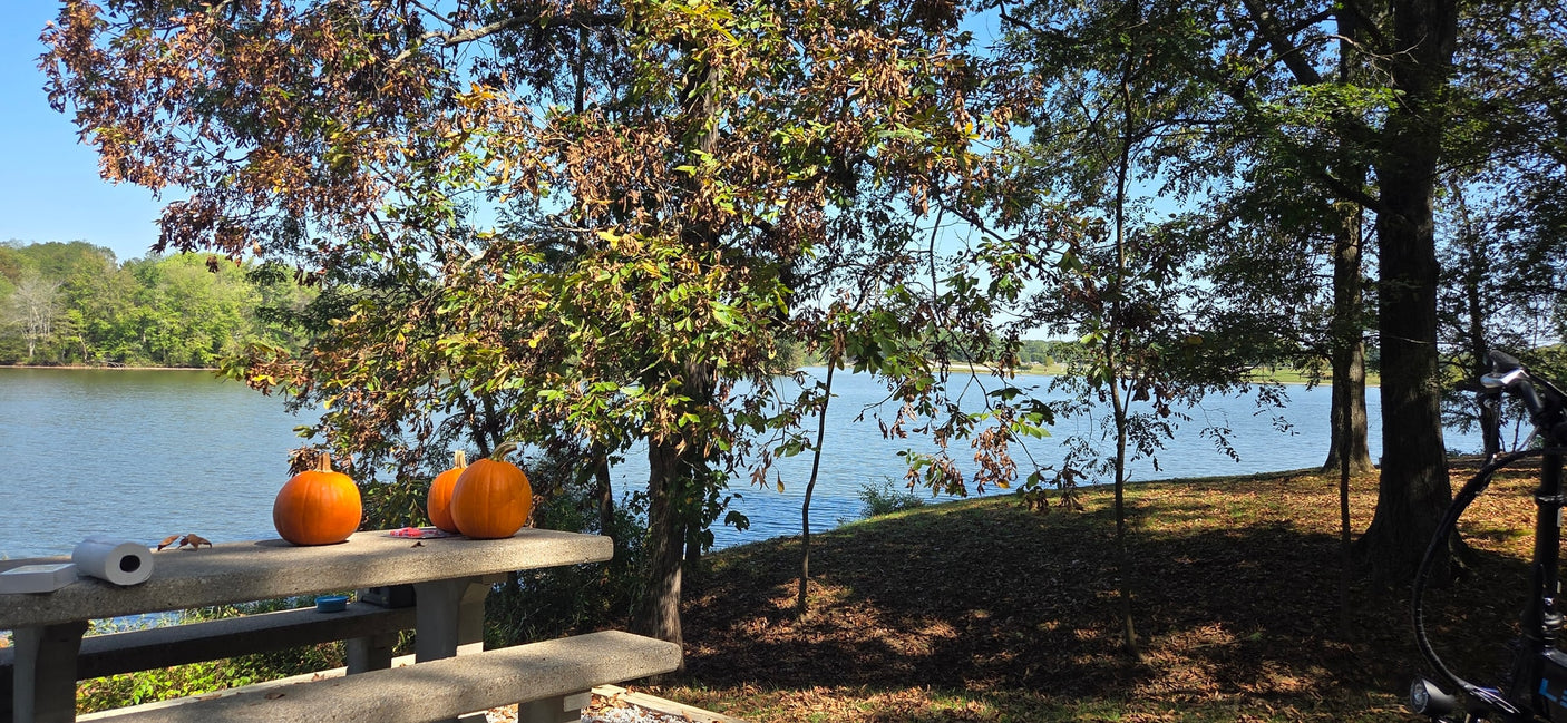 Autumn joy by the lake! Pumpkins on a stone picnic table, perfect for an RV rental camping experience.