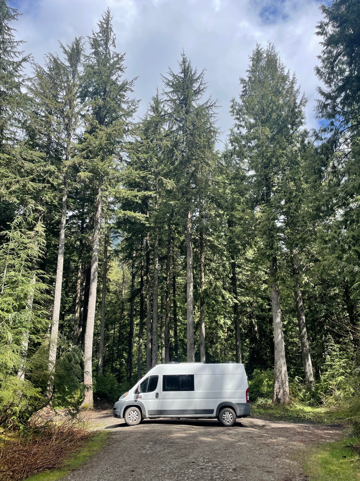 Find your adventure with this RV rental! A white camper van awaits in a lush forest clearing under cloudy skies.