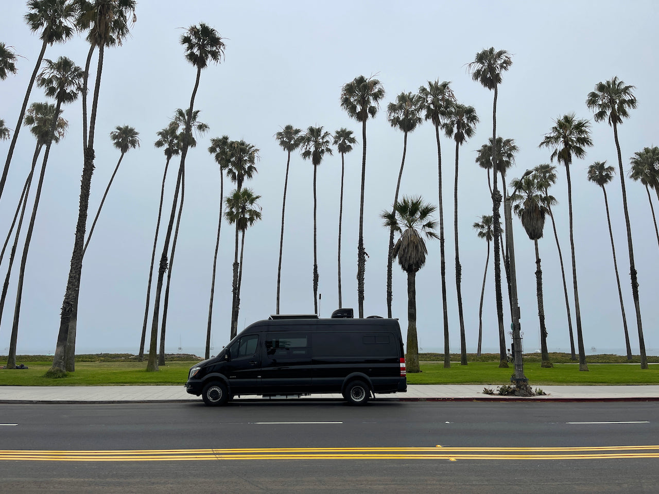 Black camper van RV rental parked on a coastal street with tall palm trees and ocean view.