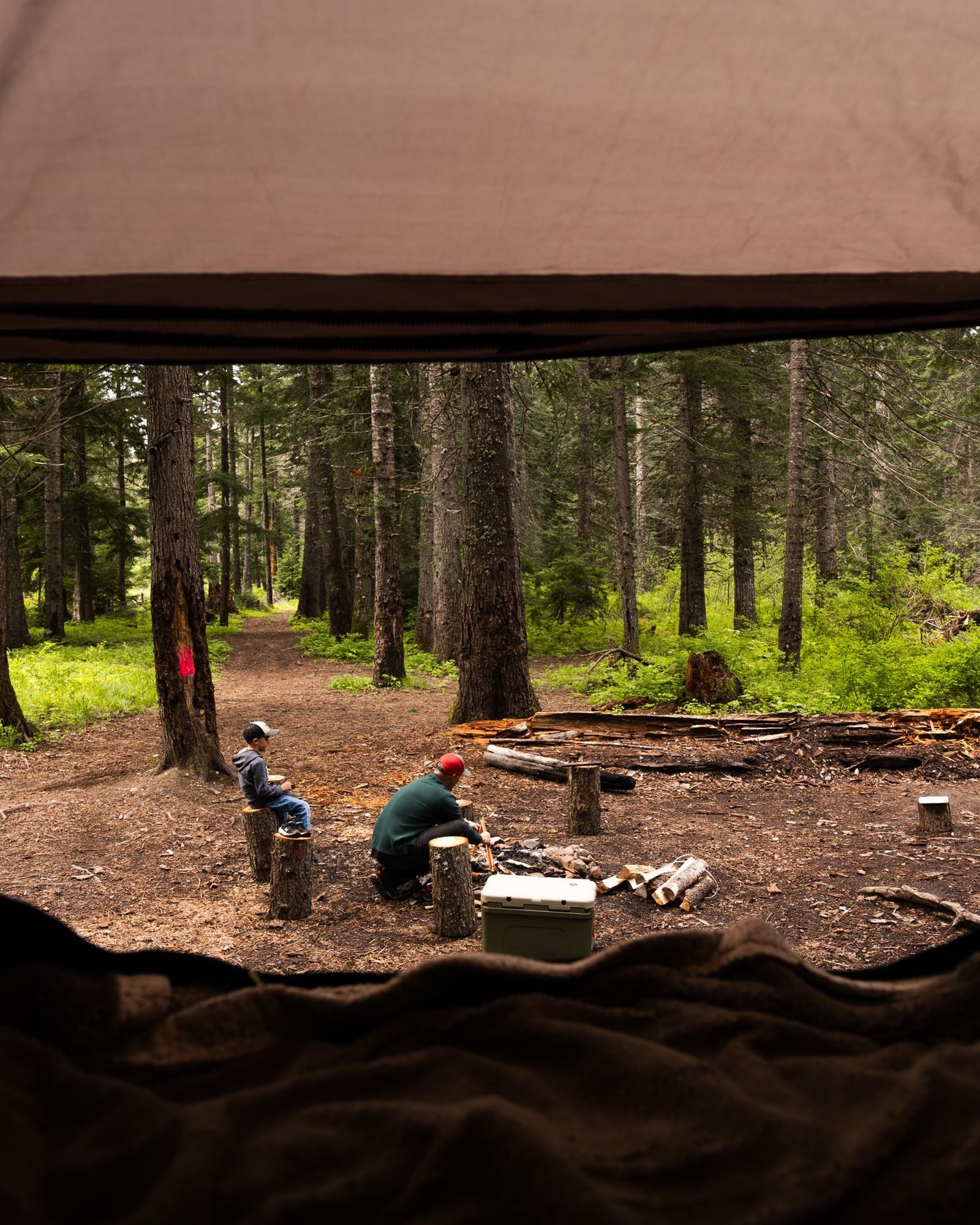 preparing a campfire by log seats and a cooler.|Inside a cozy RV rental: plush grey bed