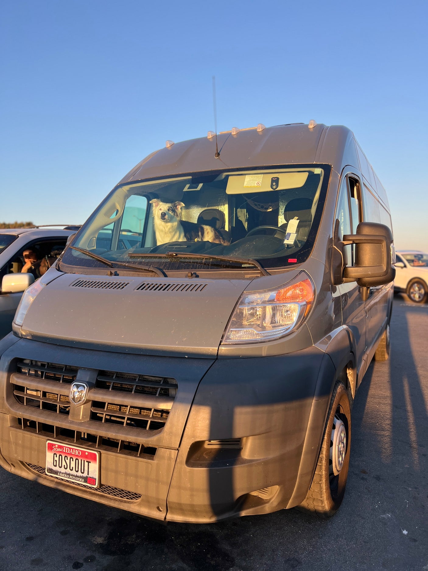 Grey Ram ProMaster **rv rental** van with a dog looking out the windshield. Features an Idaho 'GOSCOUT' license plate.
