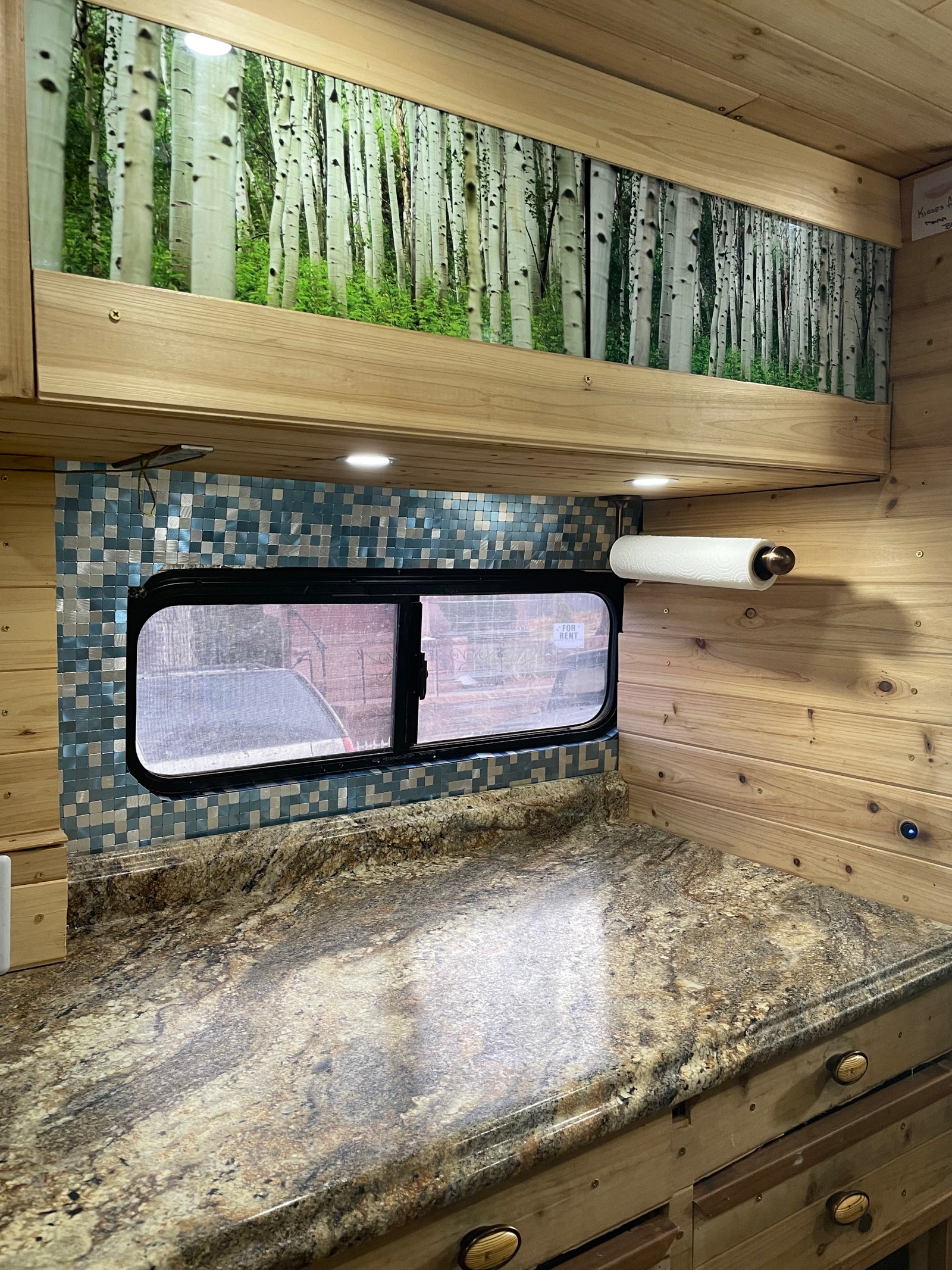 Custom RV rental interior with a kitchen counter, mosaic tile backsplash, and a decorative birch tree mural.
