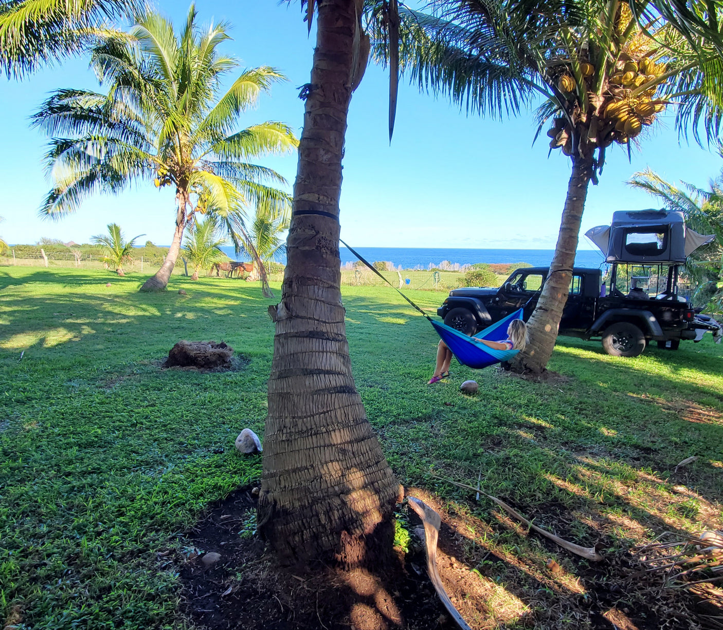 A person relaxes in a blue hammock between palm trees. A black Jeep with a rooftop tent, like an RV rental, sits by the ocean.