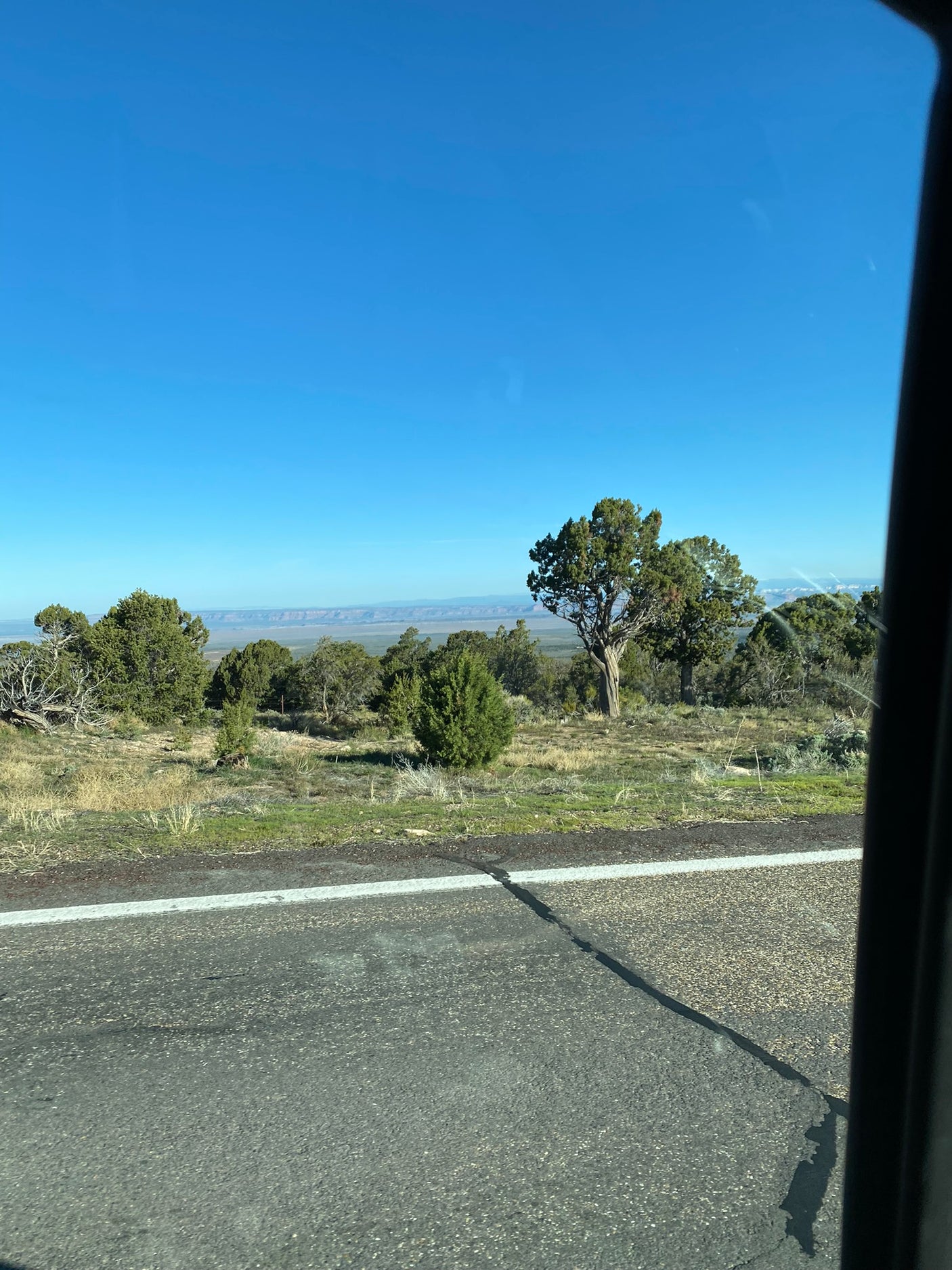 Scenic landscape from an RV rental: clear sky, distant mesas, and roadside trees on a vast plain.