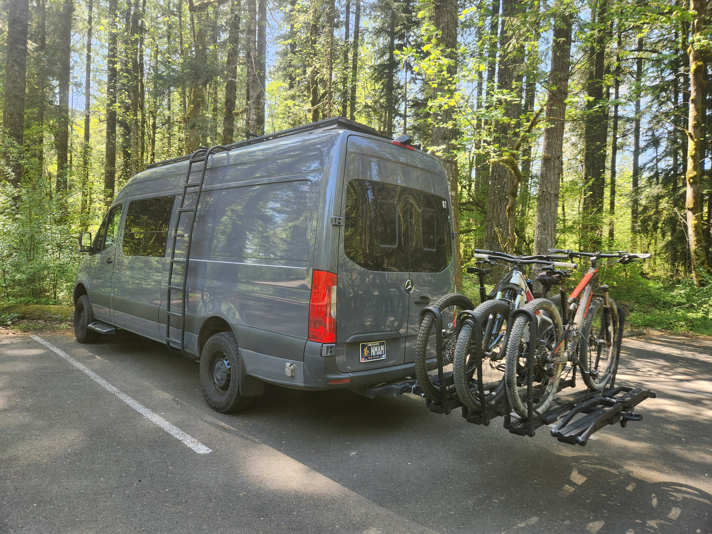 A gray RV rental van, a Mercedes Sprinter, with two mountain bikes on a rear rack, parked in a sunlit forest.