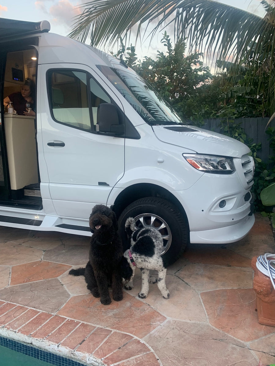 curly-haired dog sniffs the grille of a white Mercedes Sprinter rv rental parked by a sparkling pool.|White Mercedes-Benz Sprinter van