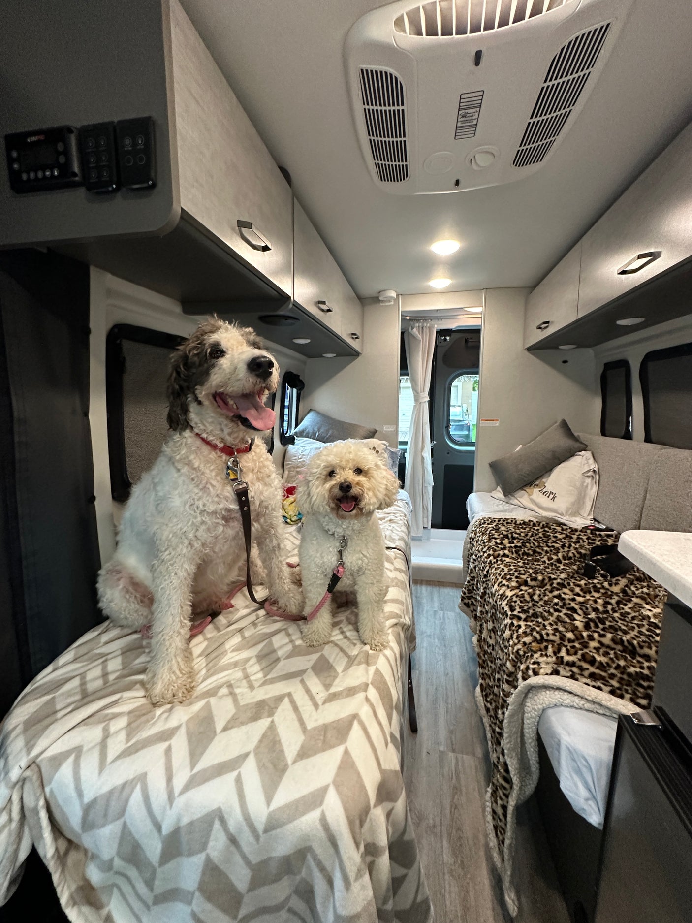 Happy dogs in an RV rental! A cozy interior with beds, overhead storage, controls, and AC for comfortable pet travel.