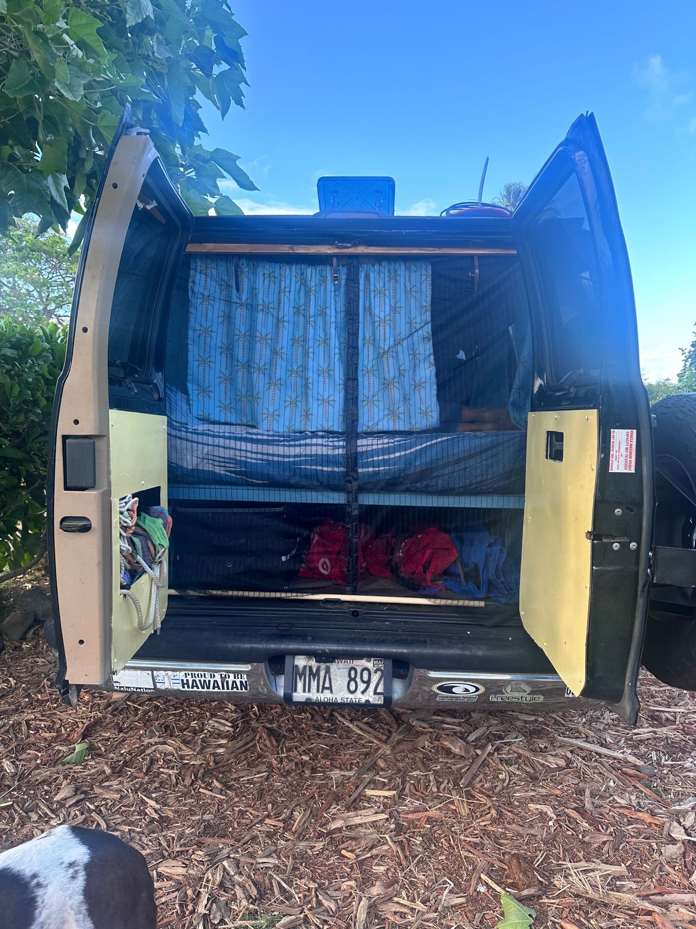Open rear doors of a DIY RV rental van conversion, revealing a bed, storage, and tropical curtains. Hawaiian details visible.