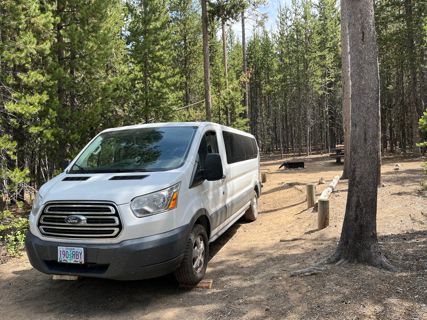 White Ford Transit rv rental van parked in a sunny pine forest campsite with fire pit and picnic table. Great for nature trips. — photo 7