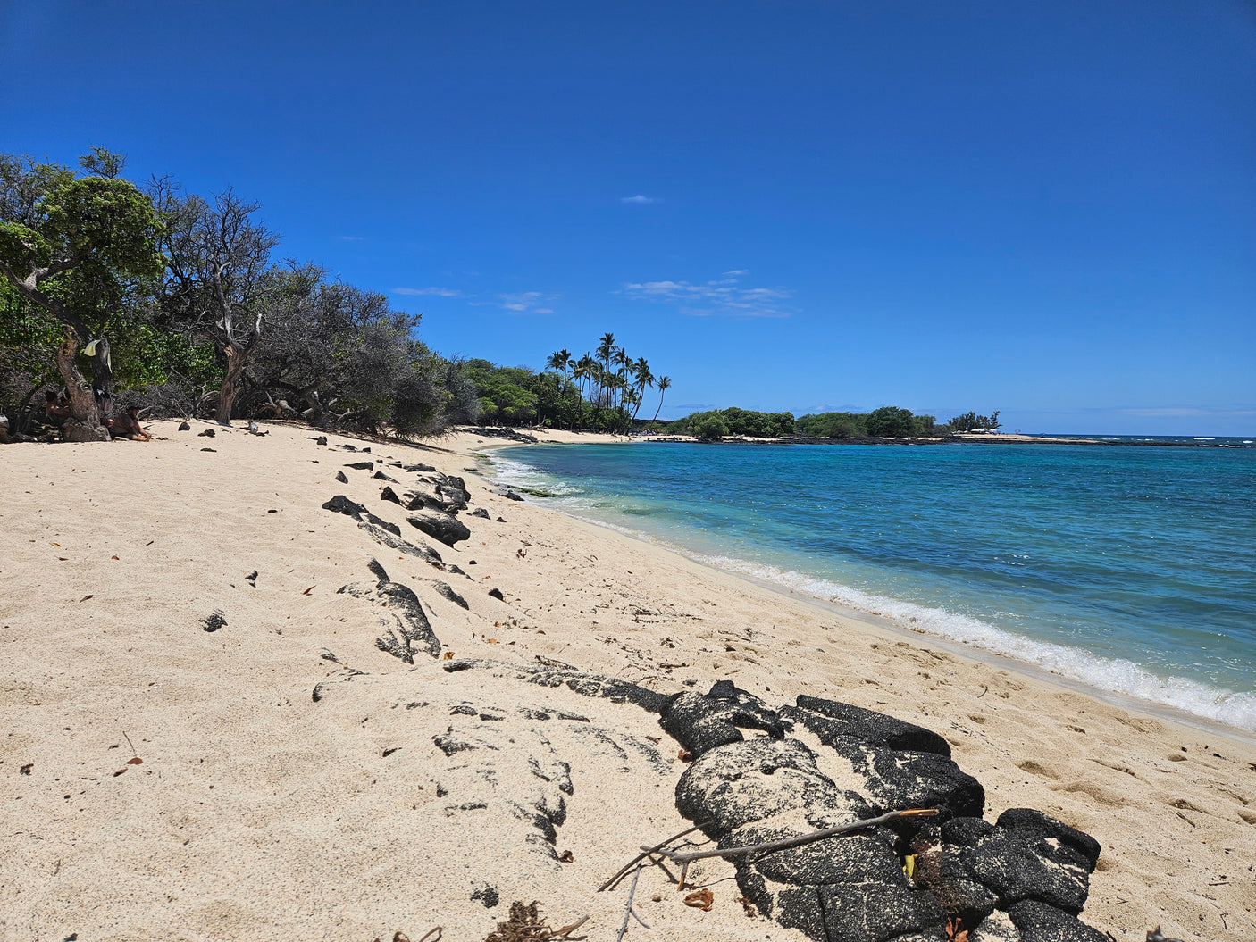 Scenic Hawaiian beach: bright sand, black lava rocks, and clear turquoise ocean beneath a blue sky. Ideal for your RV rental trip.