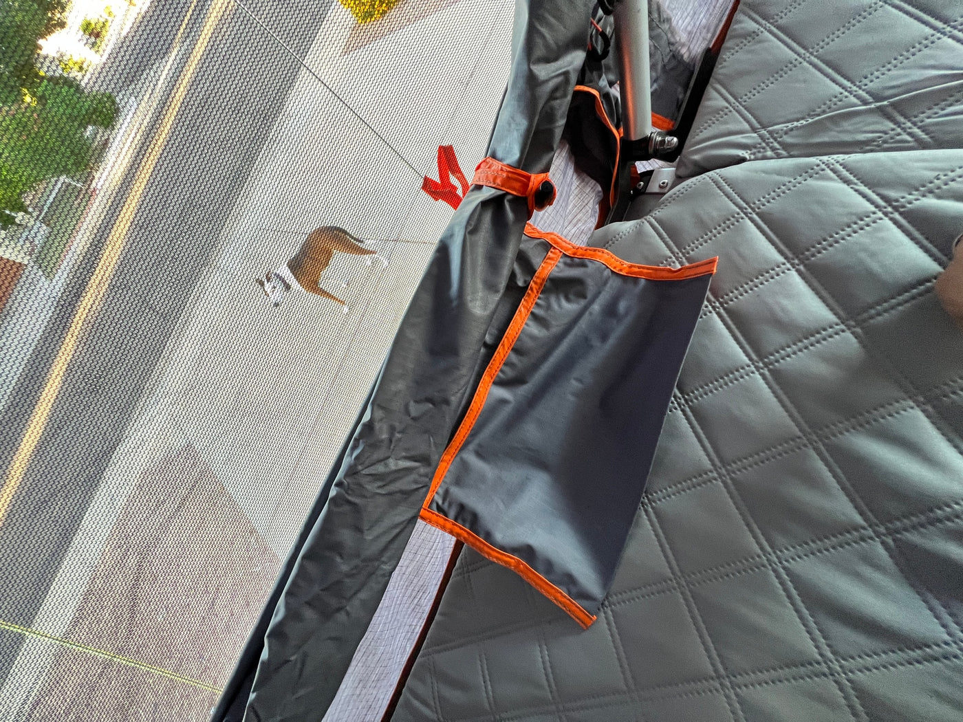 RV rental: Inside, looking out through the screen at a dog on the road, with quilted grey interior. — photo 10