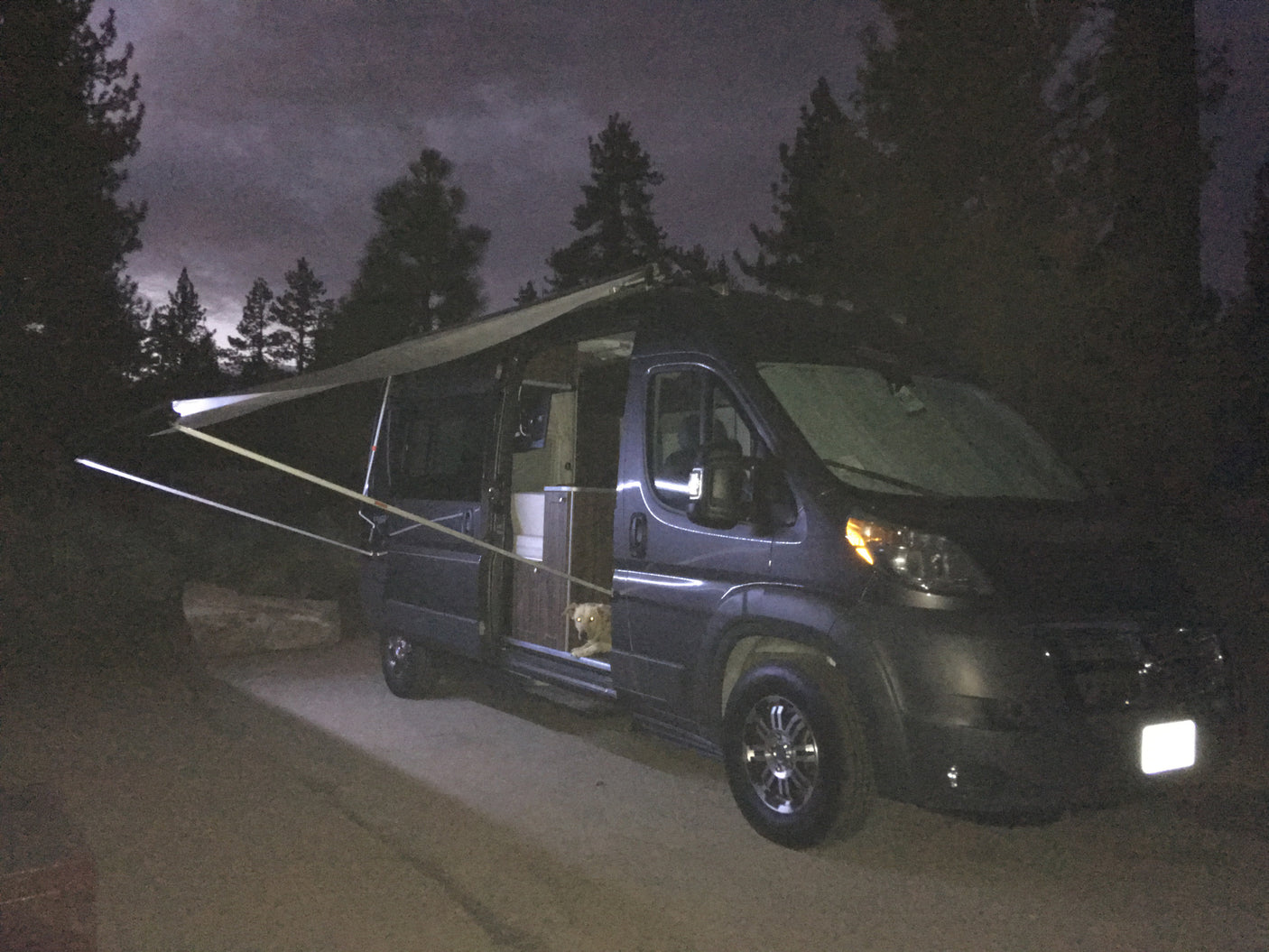 Night shot of an RV rental with its awning extended, parked in a forest. A dog with glowing eyes peeks from the open side door.