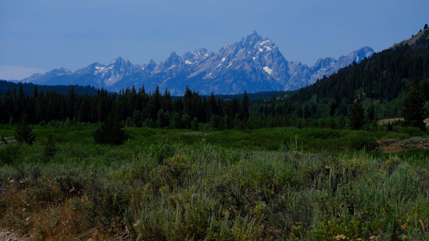 Grand Teton peaks rise above dense forests & sagebrush. Discover this stunning landscape with an RV rental adventure.