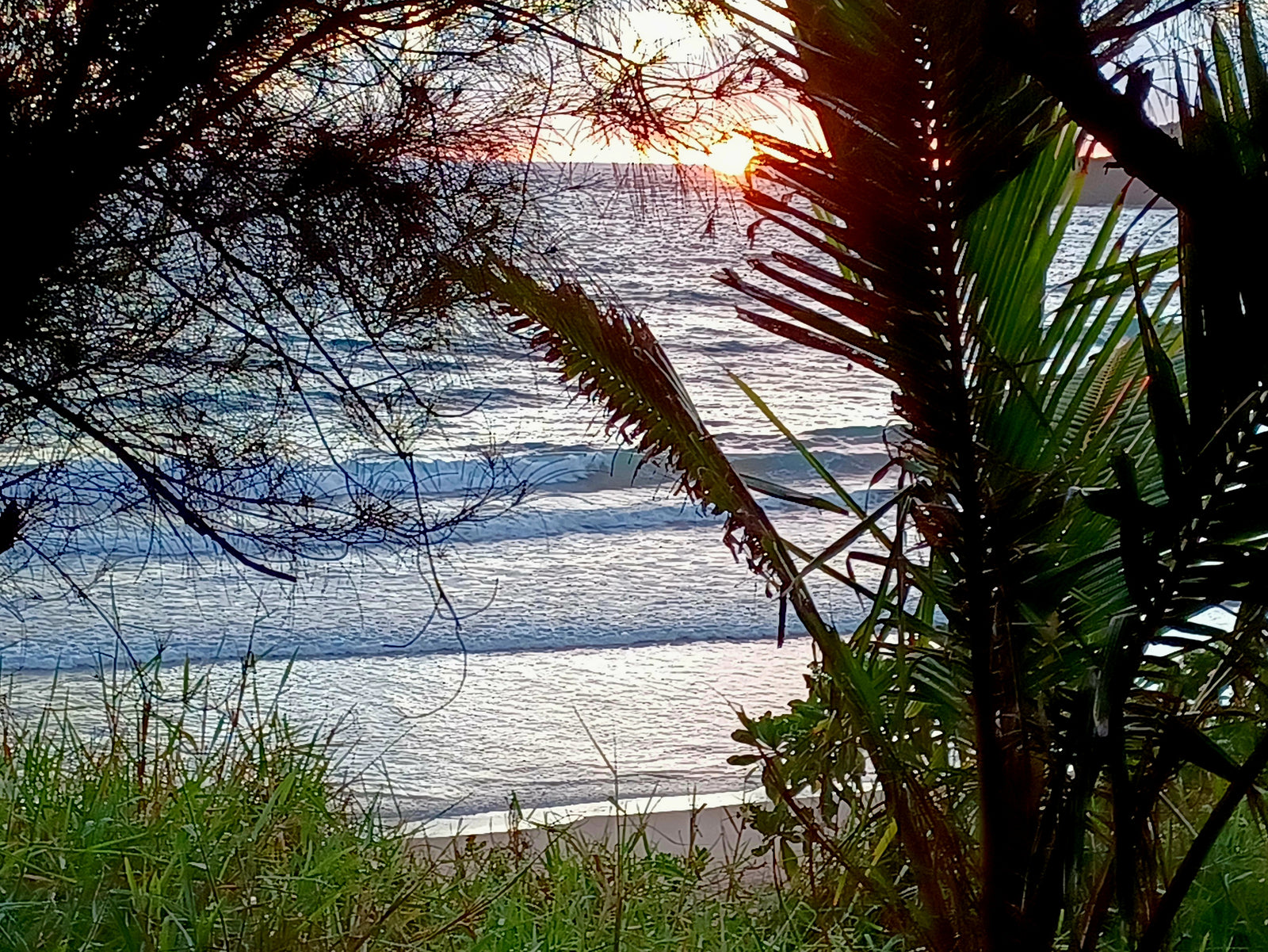 A vibrant ocean sunset, framed by dark coastal trees & palms. Imagine this beach view on your RV rental trip.