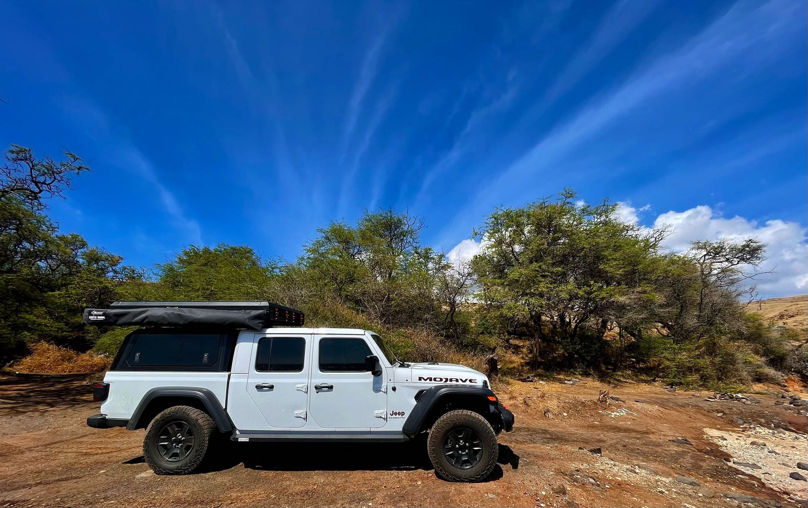 ready for outdoor adventures.|Happy dog in a white **RV rental** Jeep Gladiator with rooftop tent