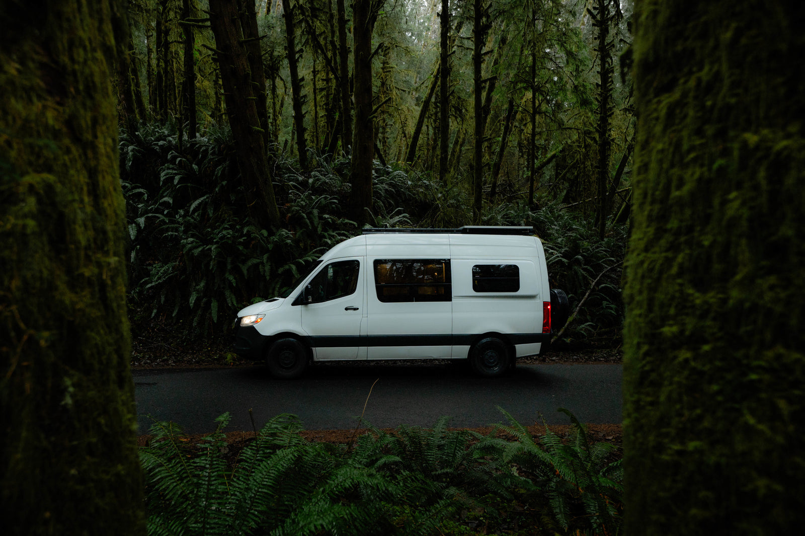A white RV rental camper van parked on a forest road amidst moss-laden trees and vibrant ferns.