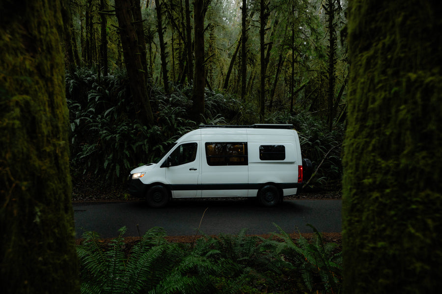 A white RV rental camper van parked on a forest road amidst moss-laden trees and vibrant ferns.