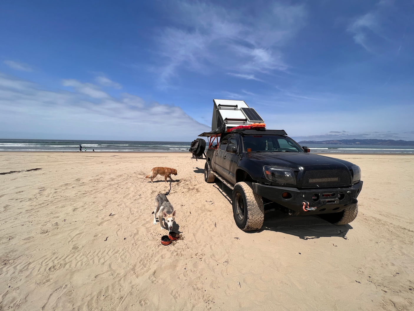 Black modified pickup truck with rooftop tent & solar, dogs, and ocean views on a sandy beach. Great for an RV rental adventure!