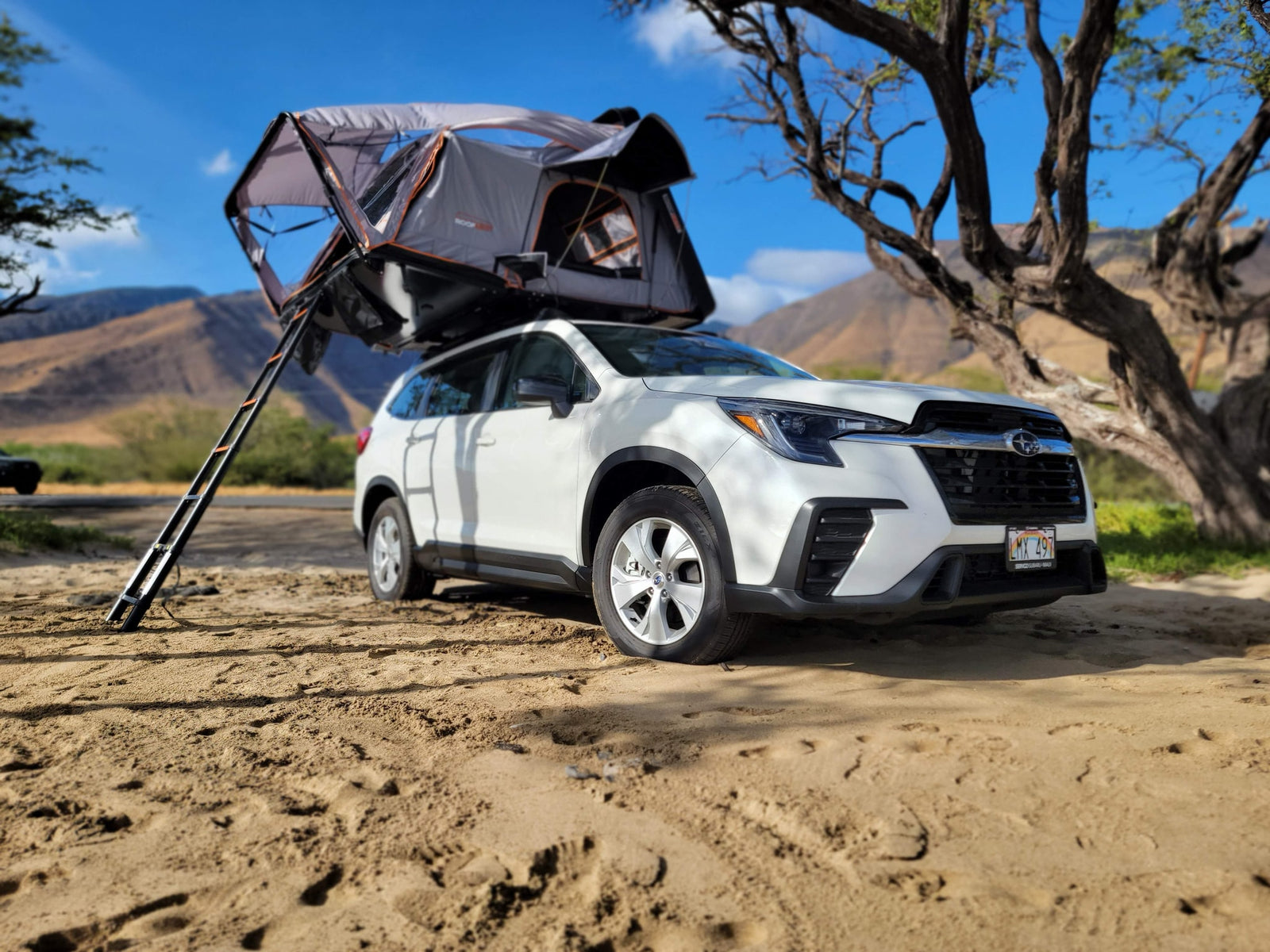 This white Subaru with a rooftop tent