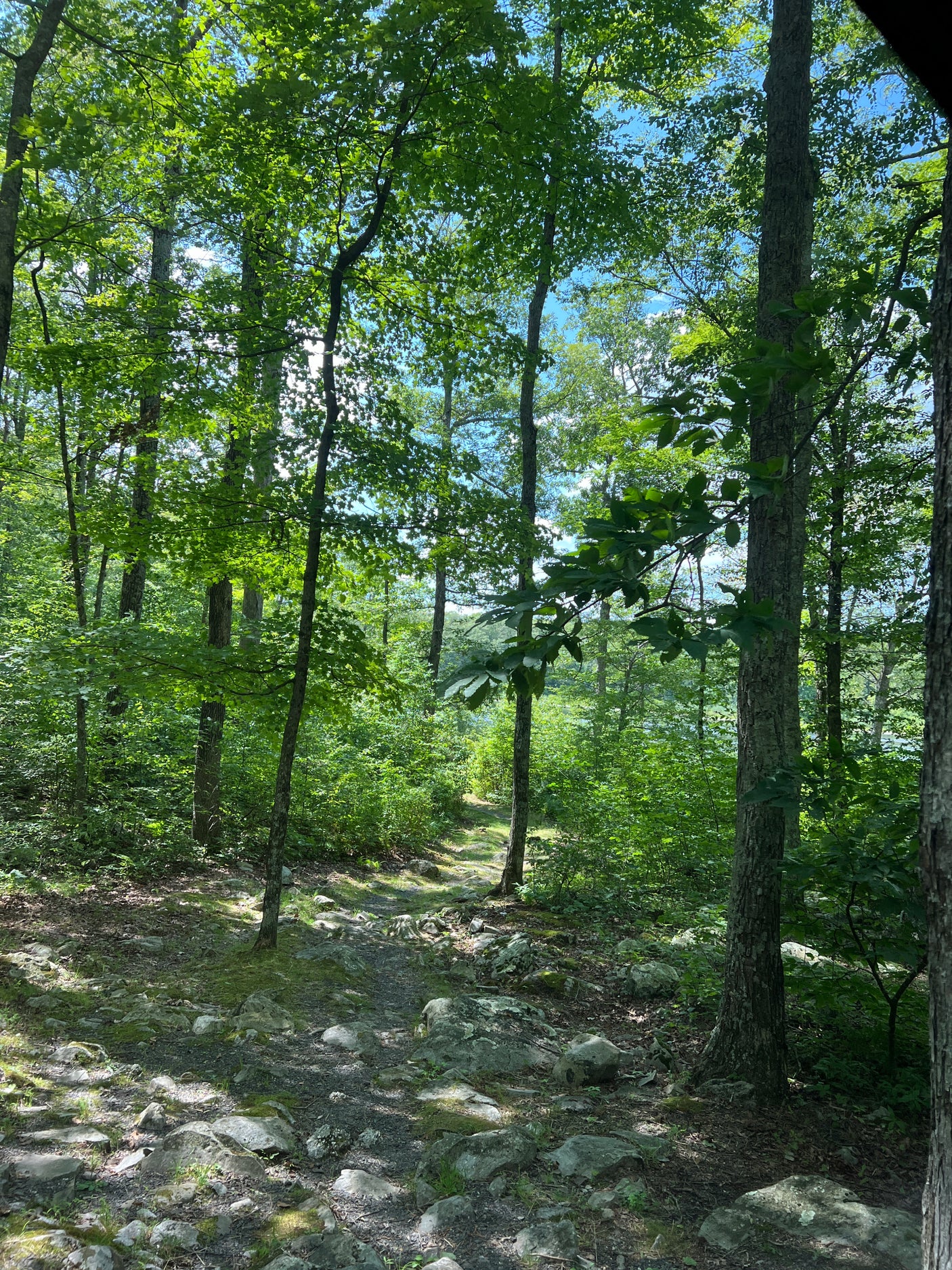 Explore rocky forest paths and lake views. Ideal for your RV rental getaway!