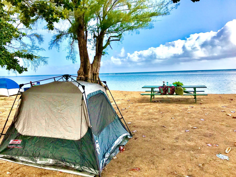 Enjoy serene beach camping! Tent on sand