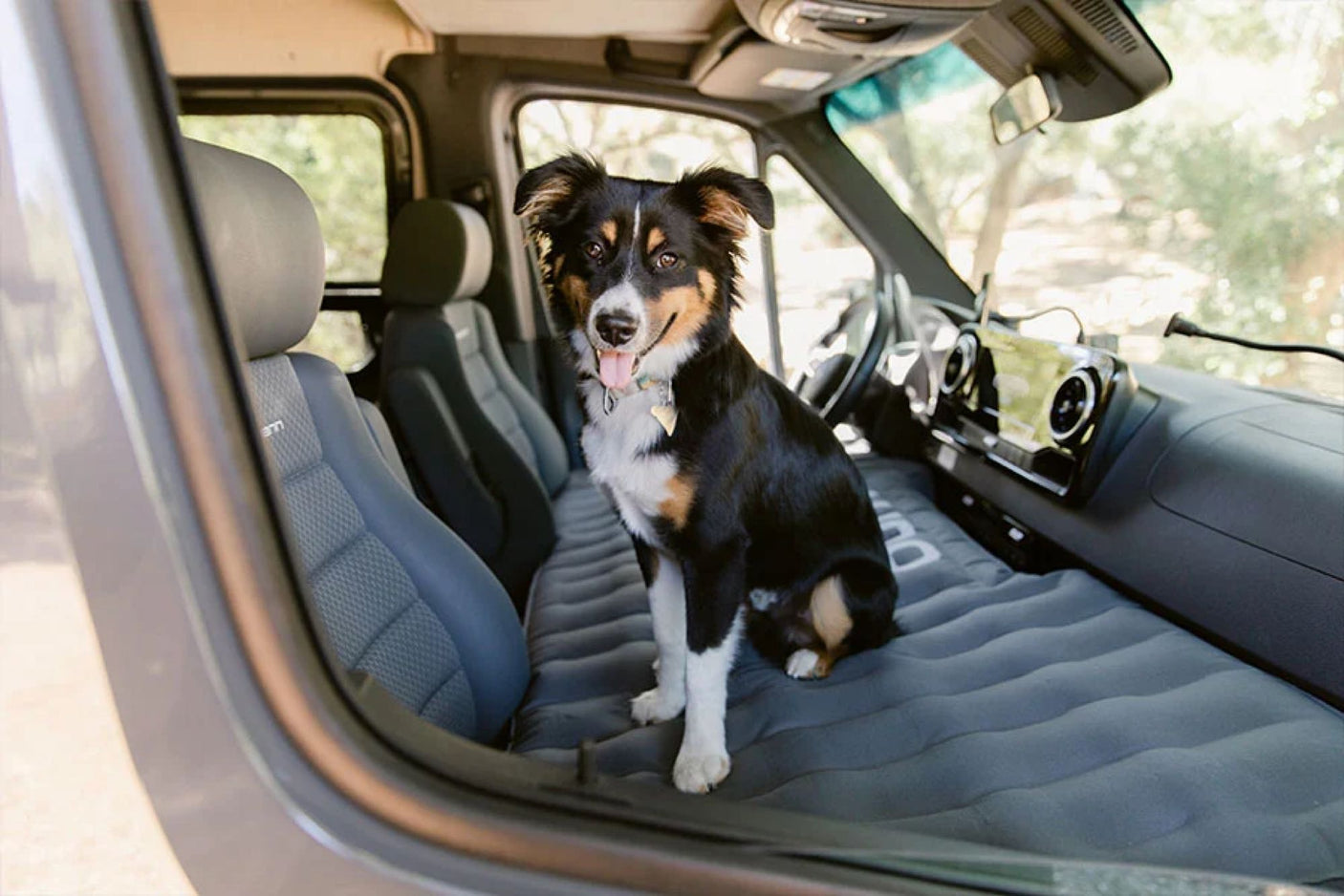 A tri-color dog relaxes in a pet-friendly RV rental van, on a comfy inflatable mattress for road trip adventures.